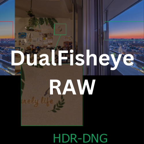 DualFisheye RAW